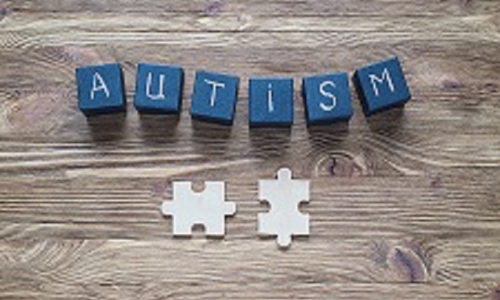 Summercourse: omgaan met autisme     Zelfbepaaldheid