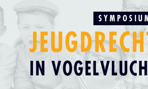 Webinar Jeugdrecht in vogelvlucht